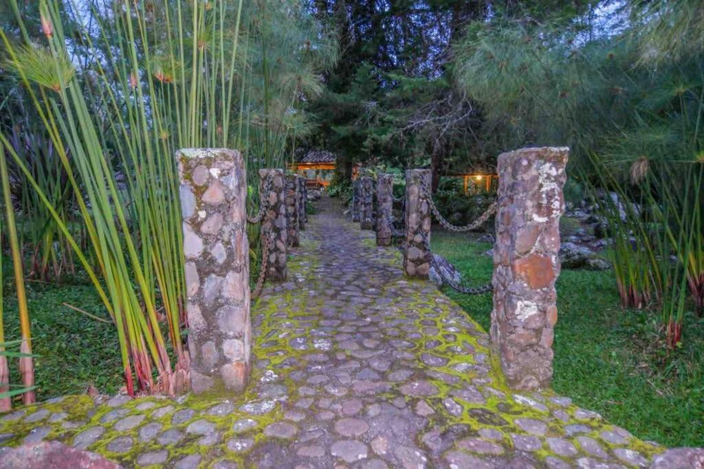 Finca Punta De Piedra Salento, Quindio Exterior foto