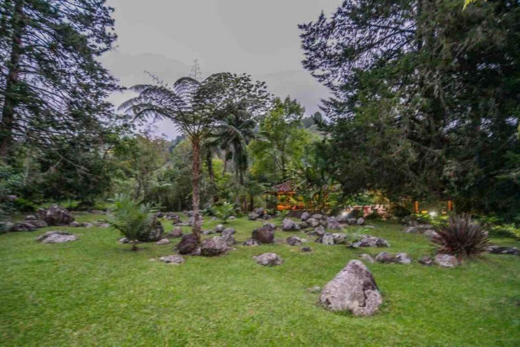 Finca Punta De Piedra Salento, Quindio Exterior foto