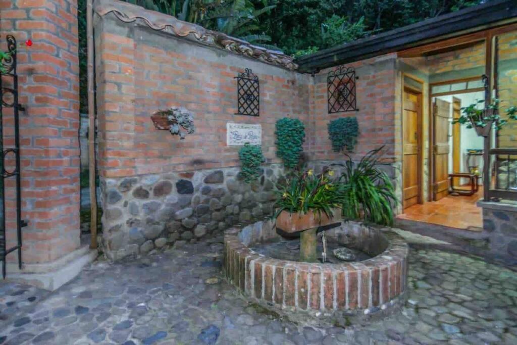 Finca Punta De Piedra Salento, Quindio Exterior foto