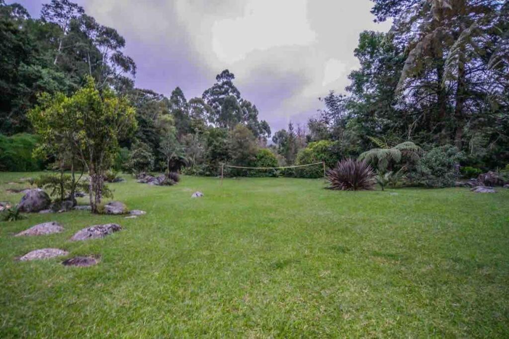 Finca Punta De Piedra Salento, Quindio Exterior foto