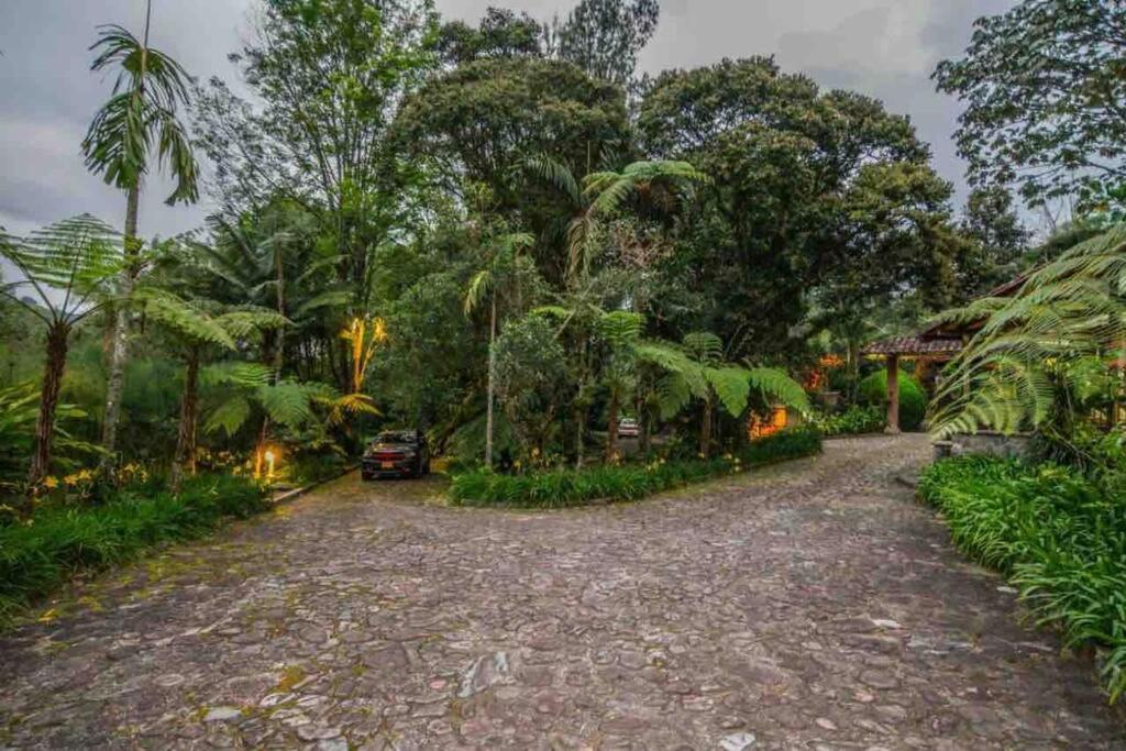 Finca Punta De Piedra Salento, Quindio Exterior foto